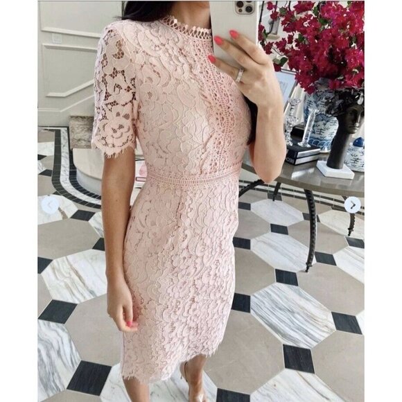 Rachel Parcell Pink Lace Sheath Dress Size XL Romantic Spring Easter Wedding - Picture 2 of 11
